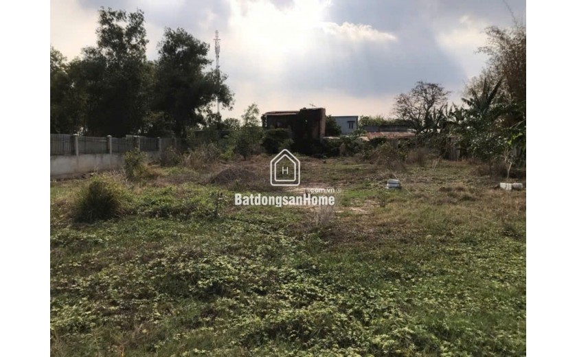 Đất Vuông SHR HXH 1440m2 – Trương Thị Như Hóc Môn